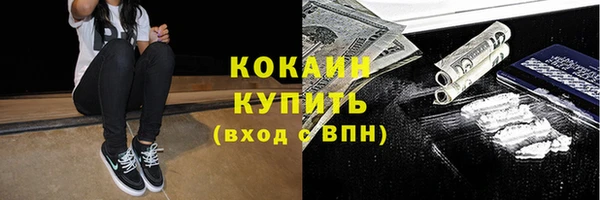 прущий лед Алзамай