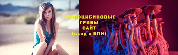 прущий лед Алзамай