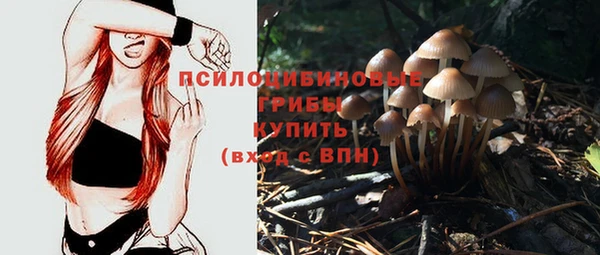 прущий лед Алзамай