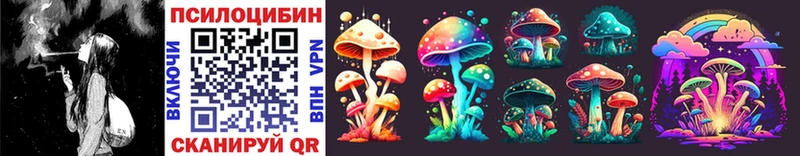 наркотики  Алупка  Псилоцибиновые грибы Cubensis 