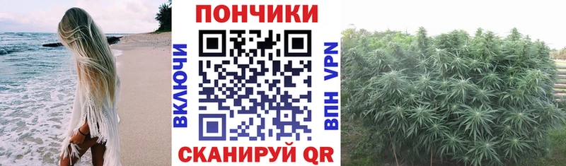 Бошки марихуана конопля  закладка  Алупка 